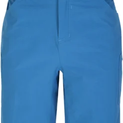 Dare 2b Tuned In II Shorts Heren, Blauw