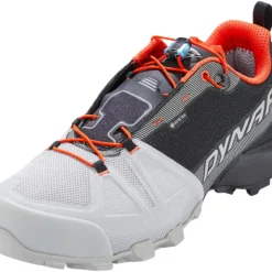 Dynafit Transalper GTX Schoenen Heren, Zwart/grijs