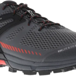 Inov-8 Roclite G 315 GTX V2 Schoenen Heren, Grijs/zwart