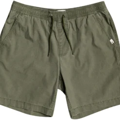 Quiksilver Taxer Wandelshorts Heren, Groen