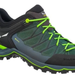 SALEWA MTN Trainer Lite GTX Schoenen Heren, Groen