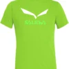 SALEWA Solidlogo Dry T-Shirt Heren, Groen