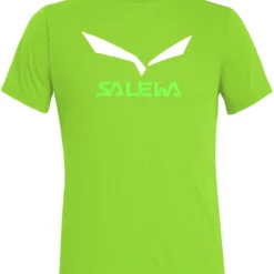 SALEWA Solidlogo Dry T-Shirt Heren, Groen