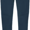 VAUDE Larice IV Broek Heren, Blauw